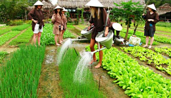 Opening Ceremony of Trà Quế Vegetable Village  experience and tourist attraction