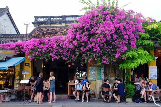 Hoi An huongchi198