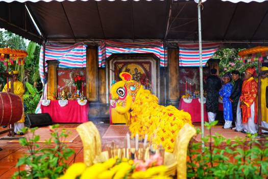 Mùng 7 tháng Giêng về Trà Quế dự lễ hội cầu bông