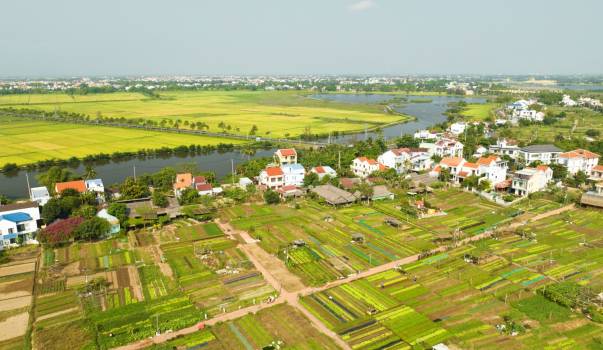 Phát triển “Thành phố sáng tạo” trên nền tảng văn hóa, di sản