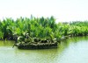 Bảo tồn và phát huy giá trị di tích danh thắng Cẩm Thanh