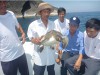 Thả rùa về biển Cù Lao Chàm