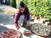 Những người đi tìm hồn của đất