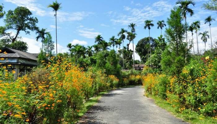 Mawlynnong Cleanest Village1