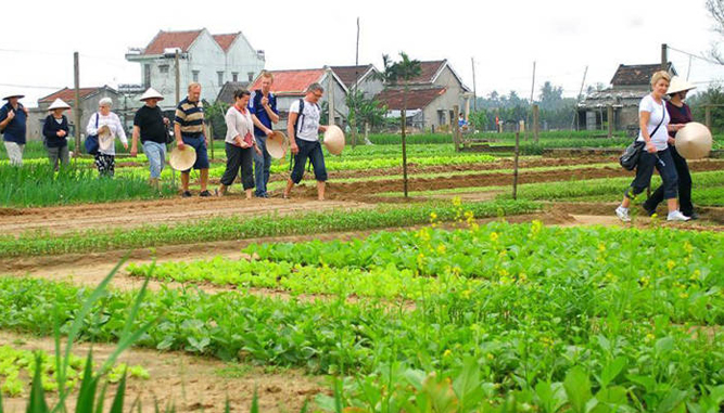 giá vé tham quan Đà Nẵng 4