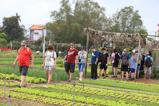 hoi an chao don khach quoc te tham quan lang rau tra que vao dip tet duong lich 2020