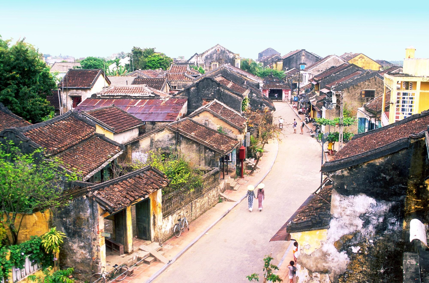 5203 hoi an