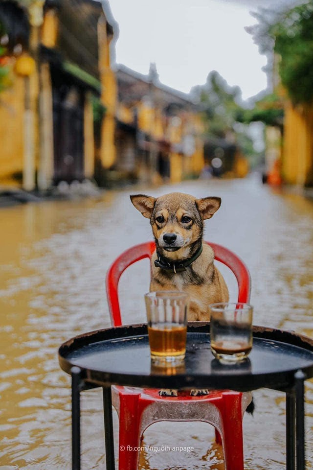 Hội An đẹp ngay trong cơn mưa 387816245 372744928408961 96630800555502806 n jpg 761697533857