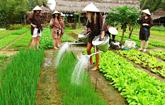 foody mobile nong dan lang rau tr 210 635870900054319615