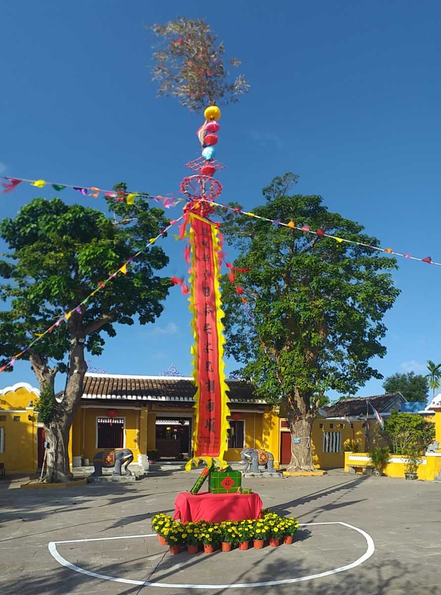 cay neu dinh hoi an