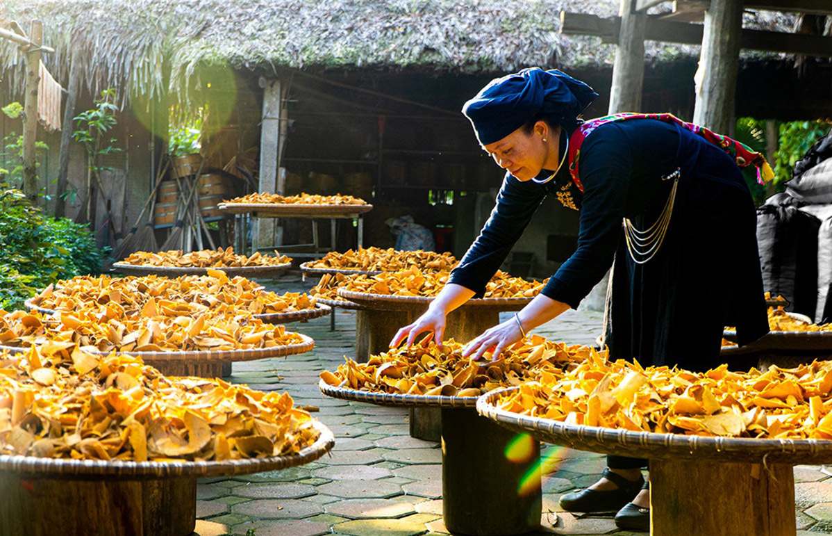 dinhhoa 1731640831