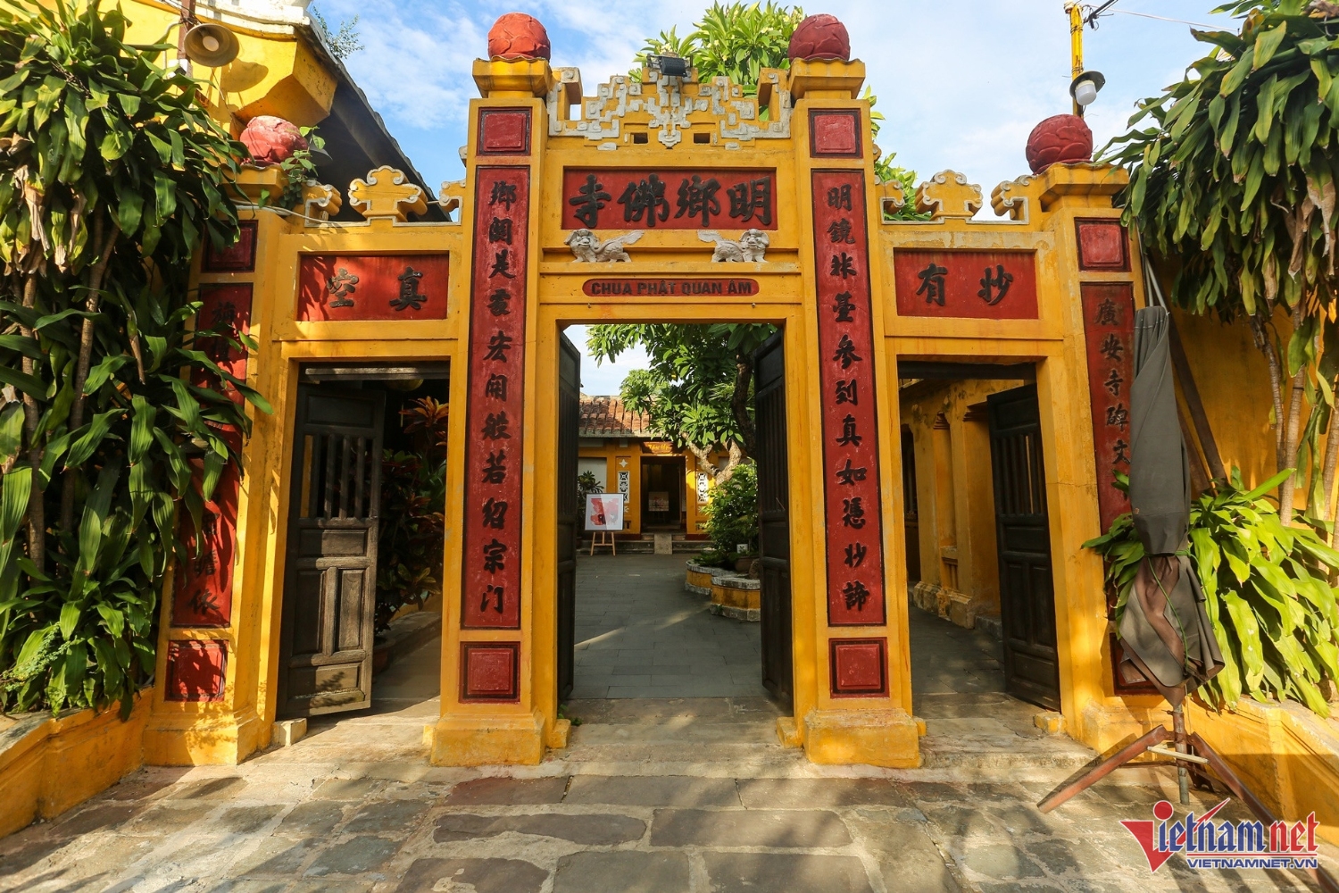 w anh 1 3217