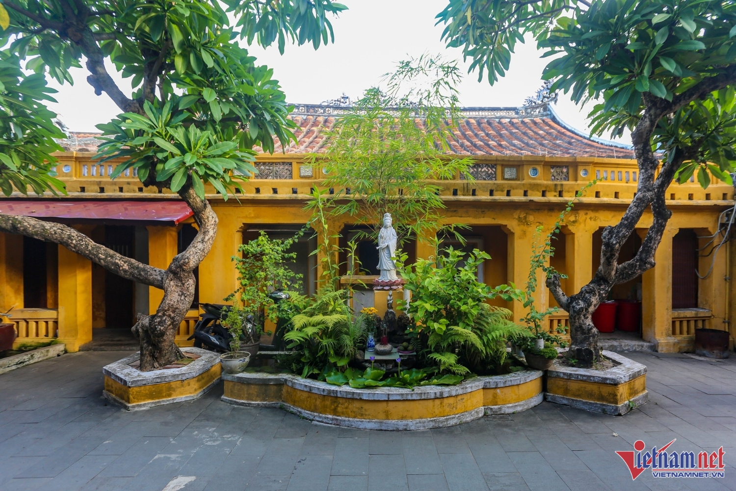 w anh 3 3219