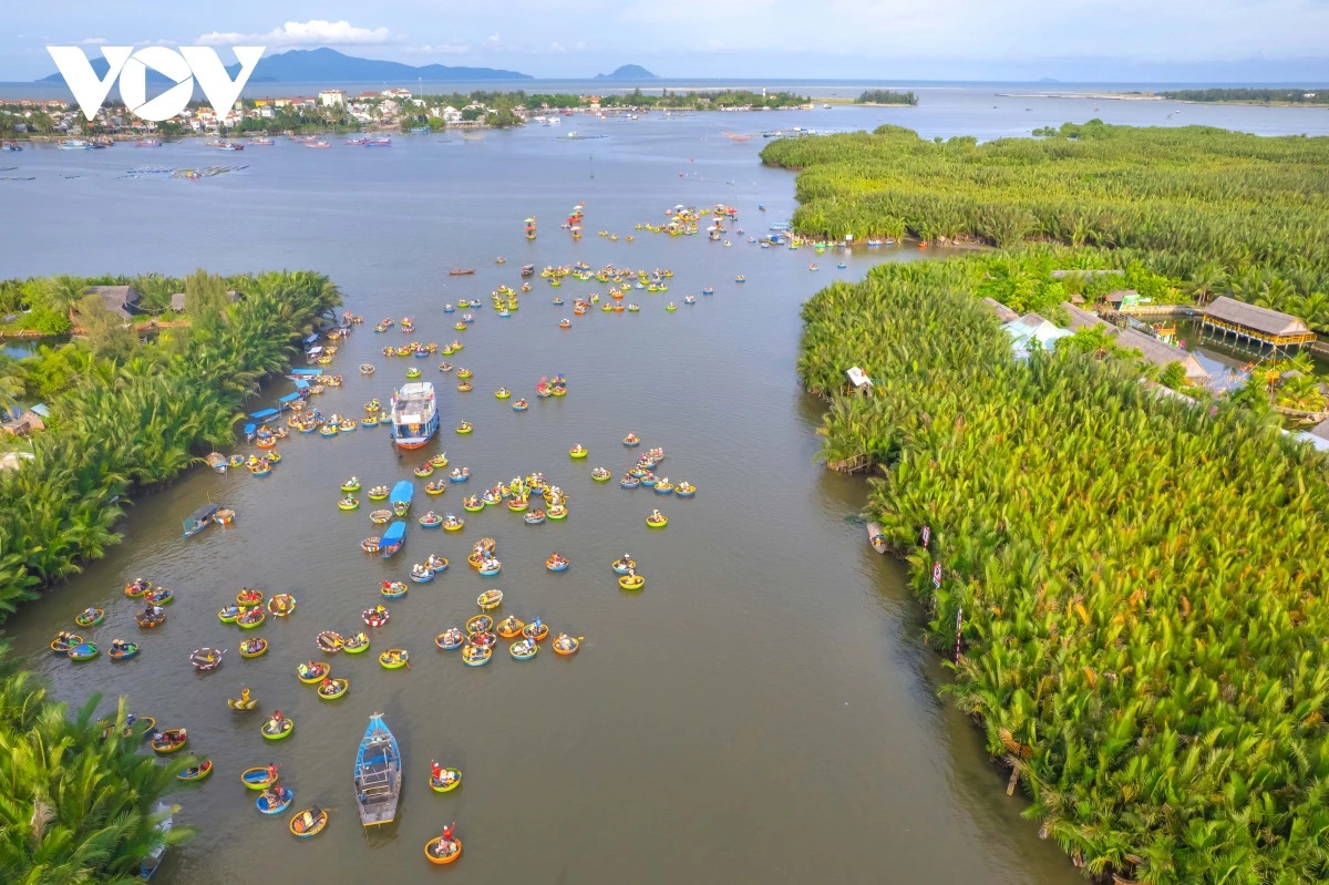 rung dua nuoc cam thanh