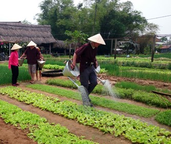 Visit traditional occupation villages